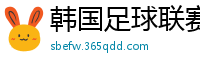 韩国足球联赛